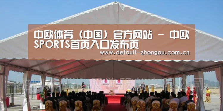 案例标题三