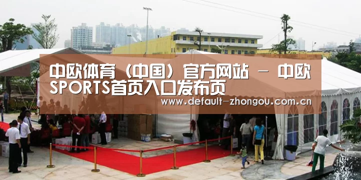 案例标题一