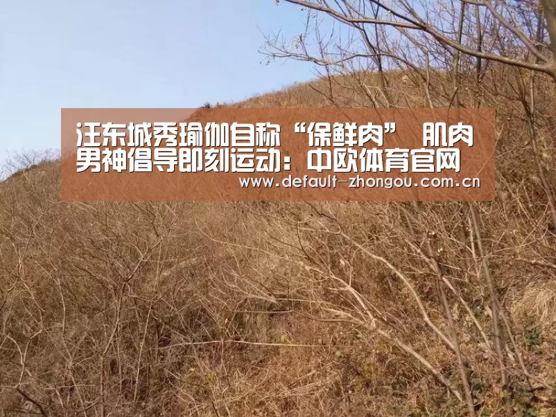中欧体育官网入口，中欧体育官方下载，中欧体育平台