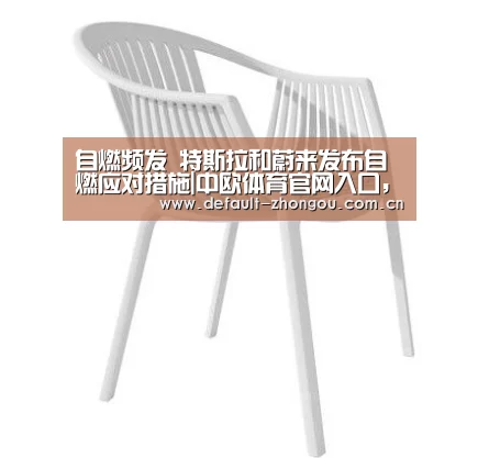 自燃频发 特斯拉和蔚来发布自燃应对措施|中欧体育官网入口,中欧体育官方下载,中欧体育平台