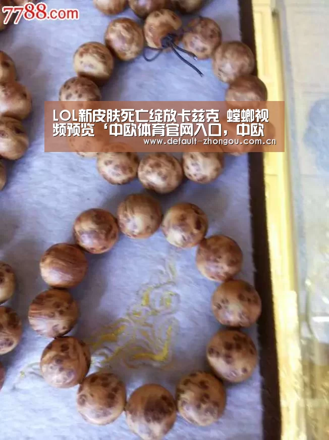 中欧体育官网入口，中欧体育官方下载，中欧体育平台