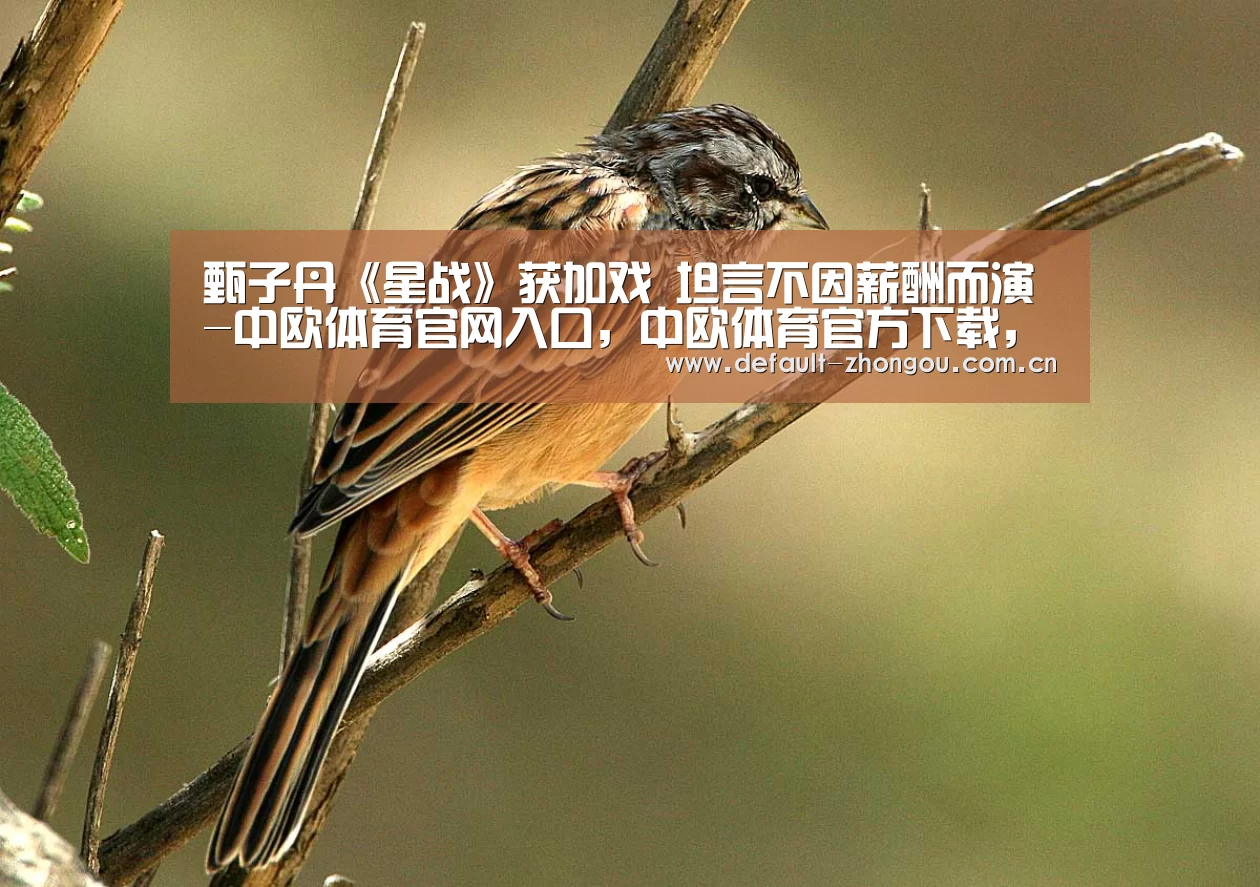 甄子丹《星战》获加戏 坦言不因薪酬而演-中欧体育官网入口，中欧体育官方下载，中欧体育平台