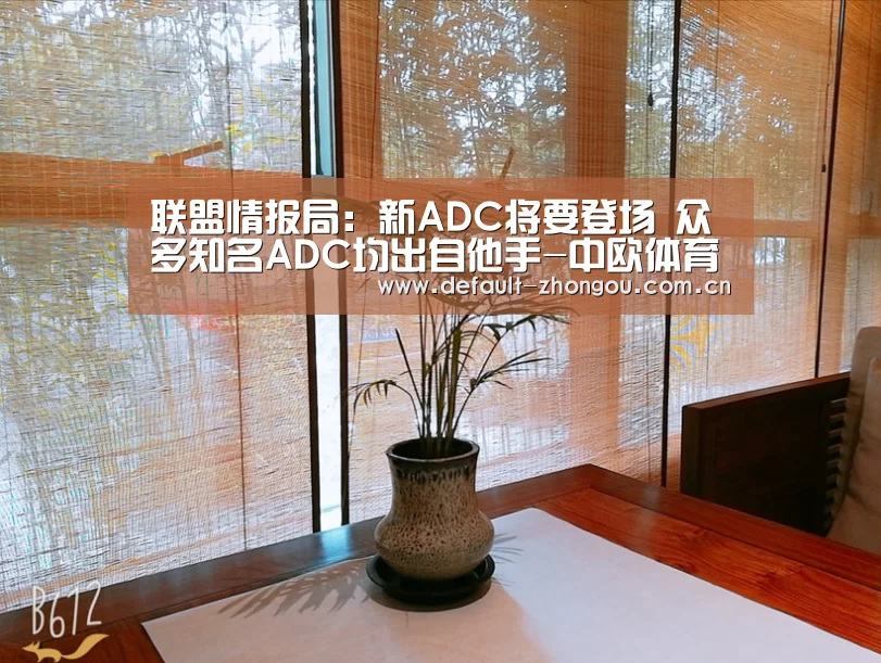 联盟情报局:新ADC将要登场 众多知名ADC均出自他手-中欧体育官网入口,中欧体育官方下载,中欧体育平台