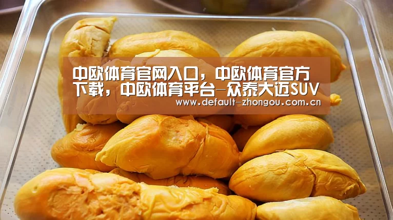 中欧体育官网入口，中欧体育官方下载，中欧体育平台-众泰大迈SUV官降最高达一万 首付6980元起
